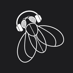 AudioFly app icon
